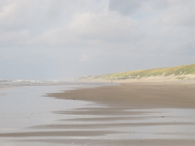 img_6553-kopie-800x600